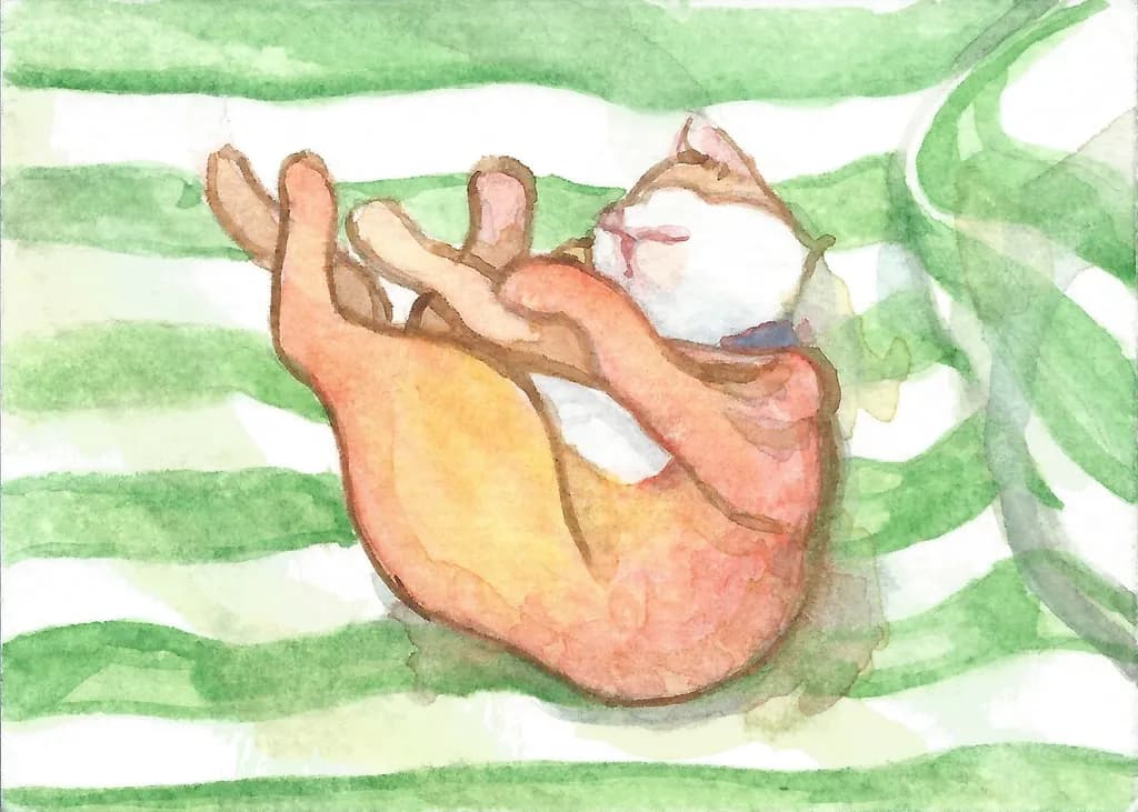 Whimsical Whiskers: A Playful Watercolor Cat in Relaxation
