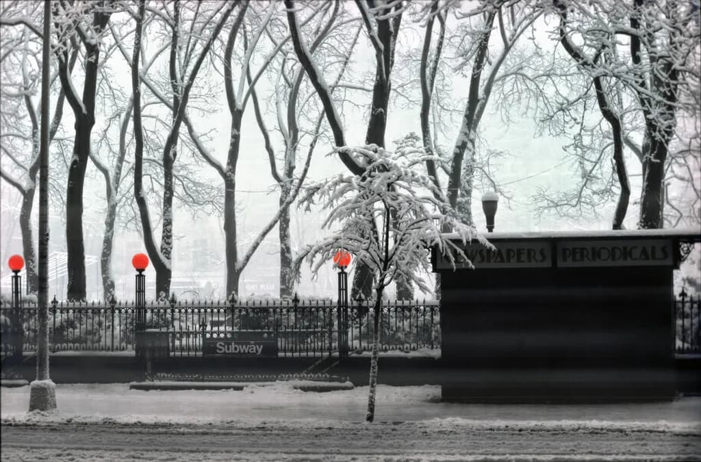 Urban Winter Contrast
