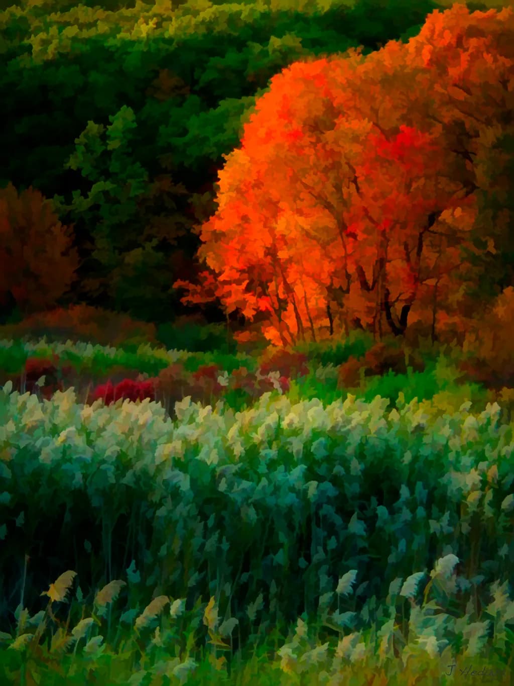 Autumn Rainbow