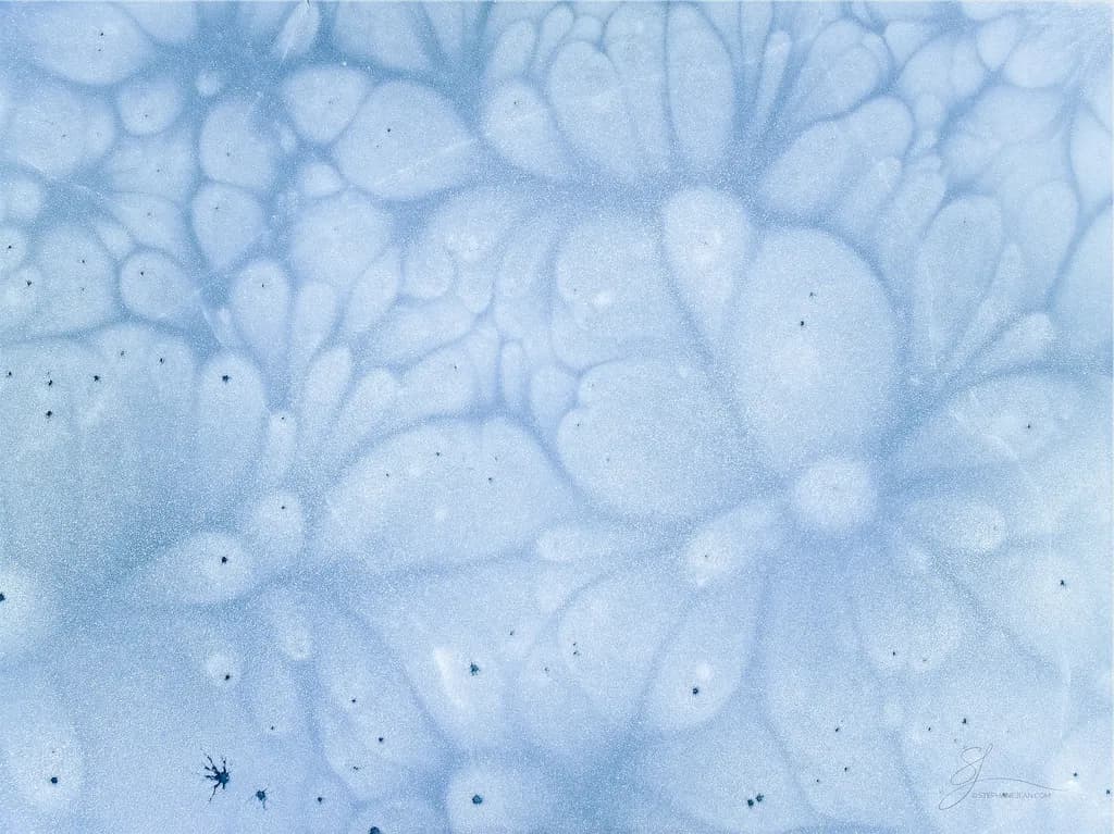 Whispers of Serenity: A Tranquil Dance of Bubbles and Light