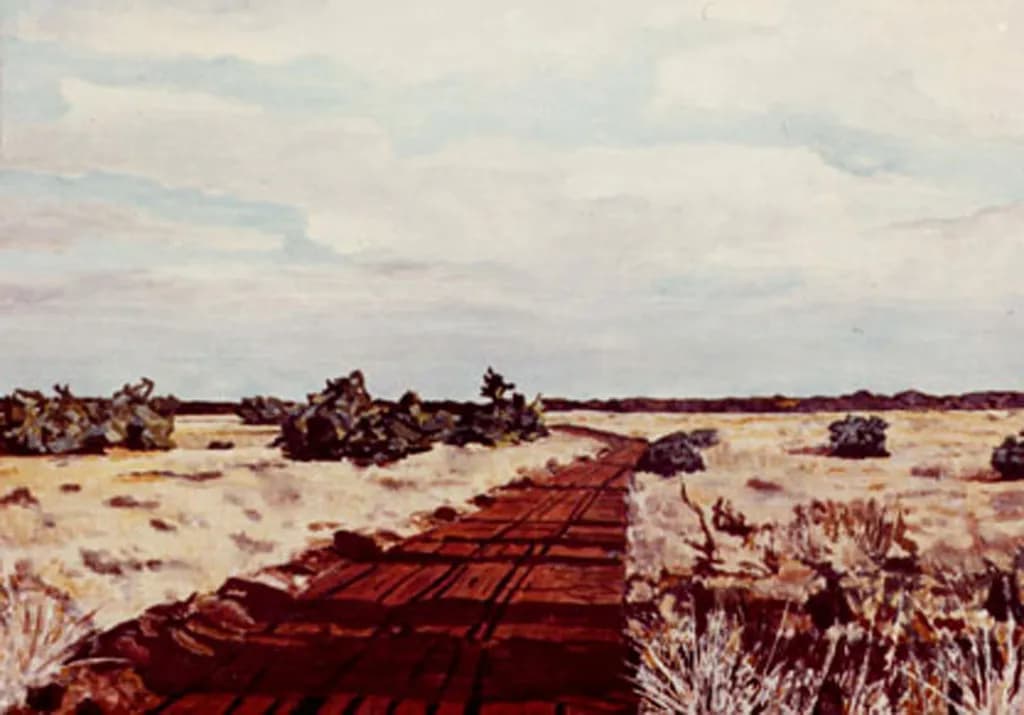 Flinders Pathway