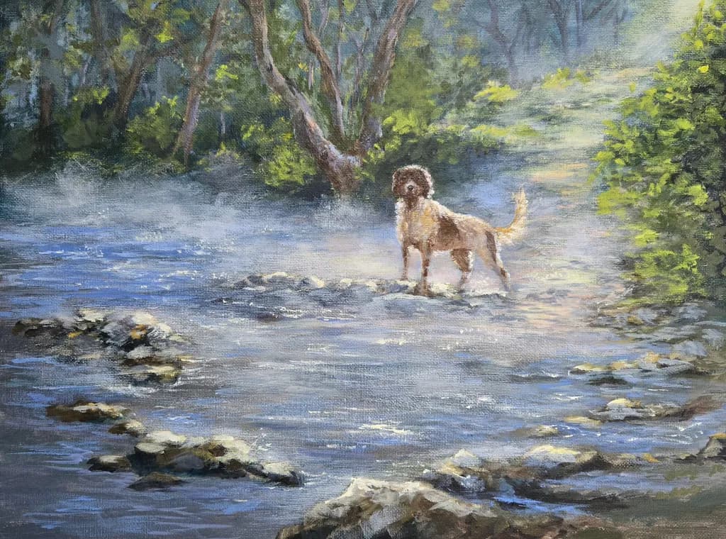Dog in Misty Creek