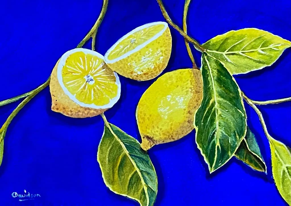 Lemon Branches
