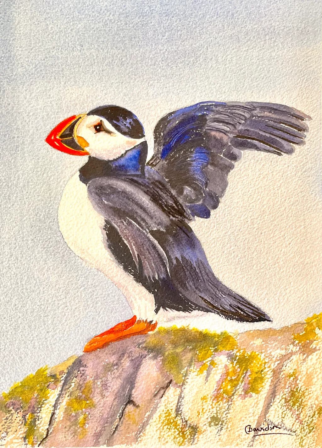 Cliffside Puffin
