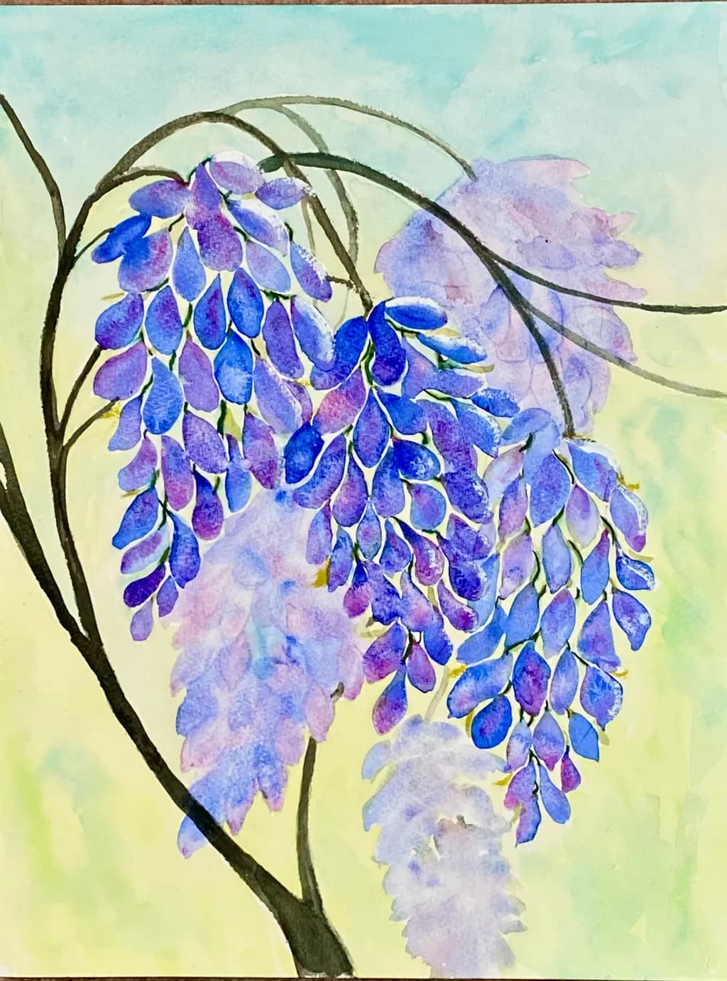 Wisteria Cascade