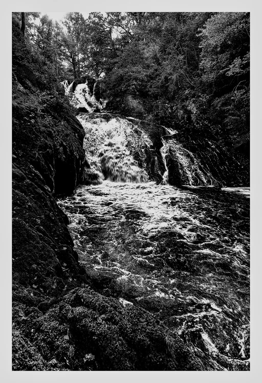 Whispers of the Waterfall: A Black and White Dance of Nature's Flow