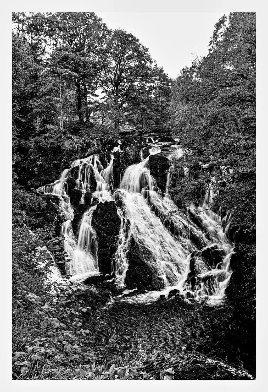 Whispers of Water: A Black and White Dance of Nature's Majesty