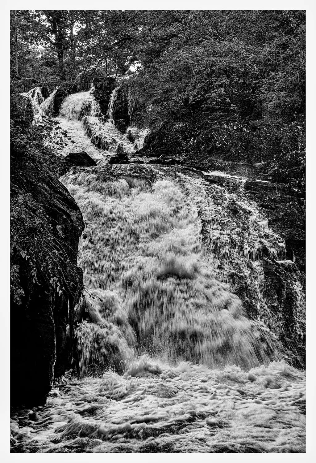 Whispers of Water: A Monochrome Dance of Nature's Fury