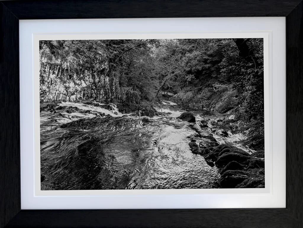 Whispers of the Stream: A Black and White Journey Through Nature's Heart