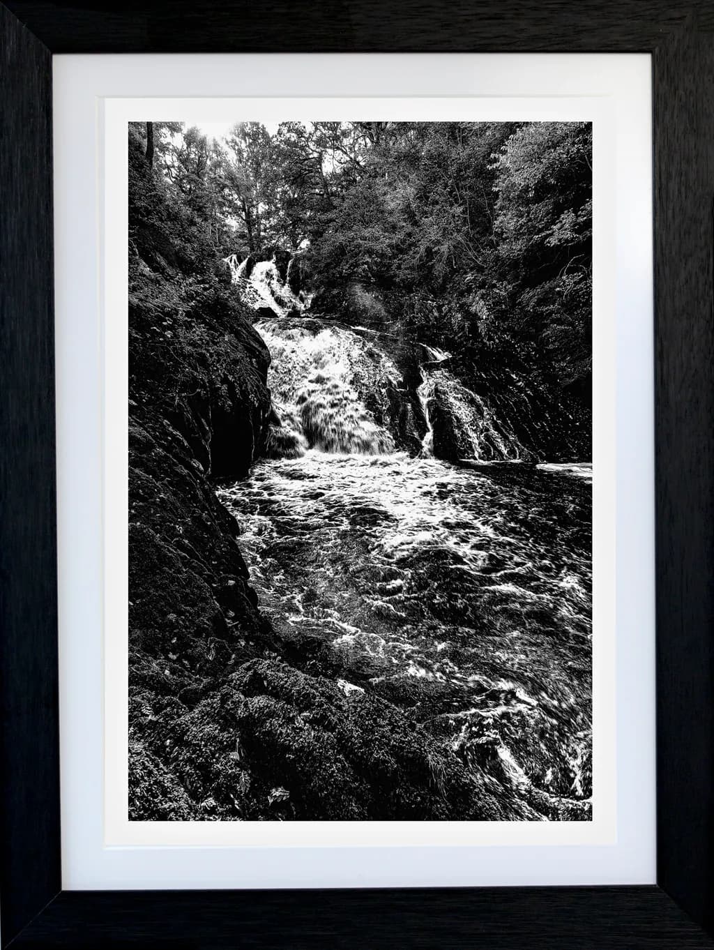 Whispers of the Waterfall: A Serene Black and White Journey Through Nature's Flow