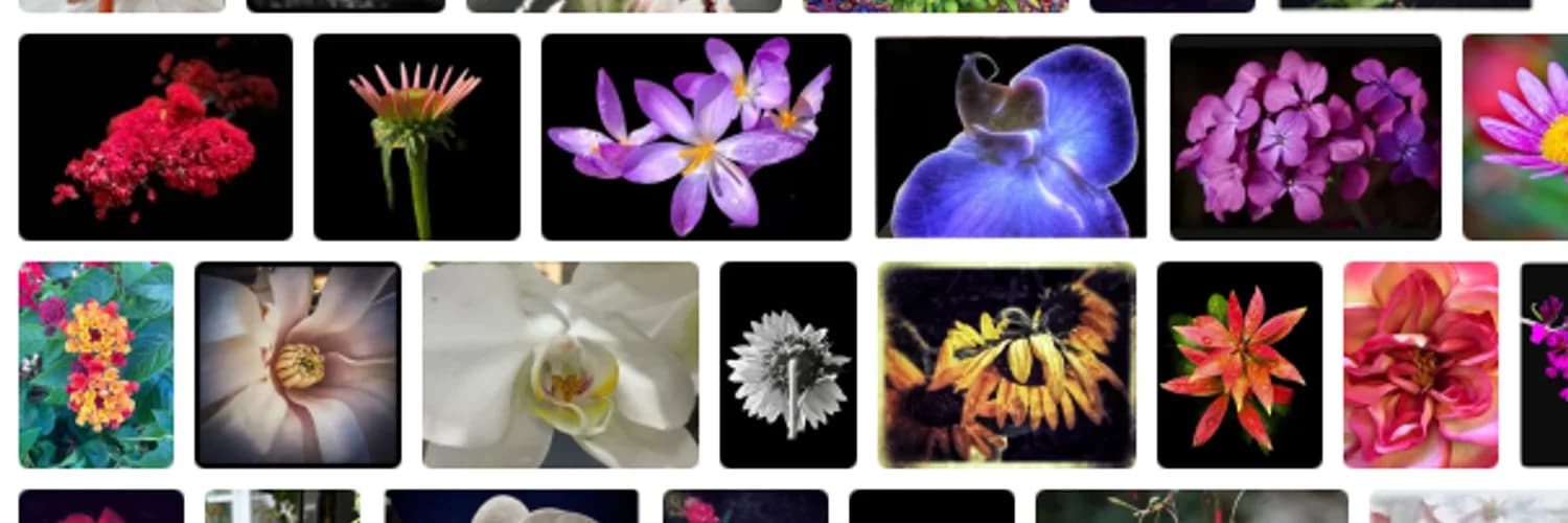 Profile banner