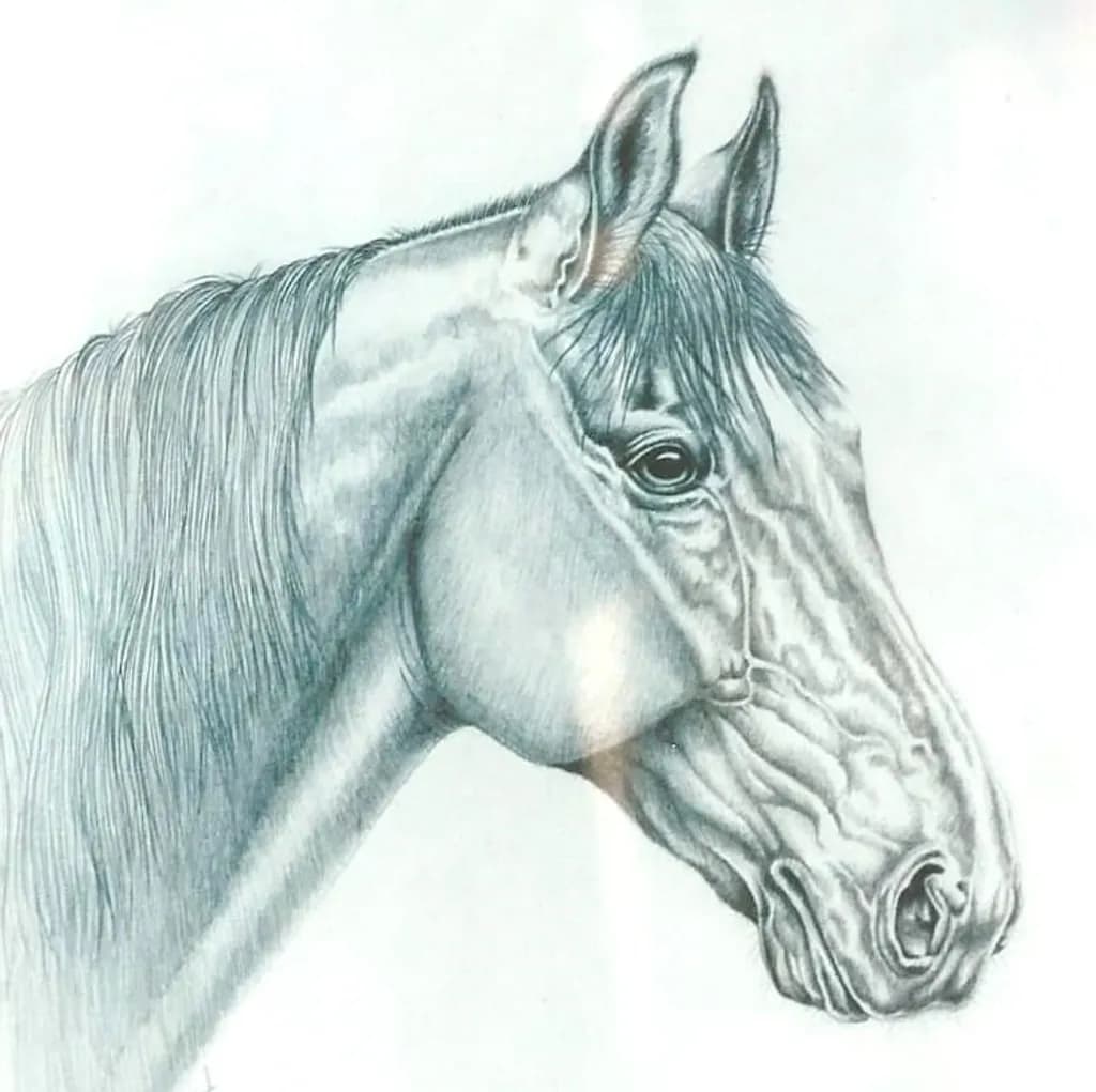 Horses Head