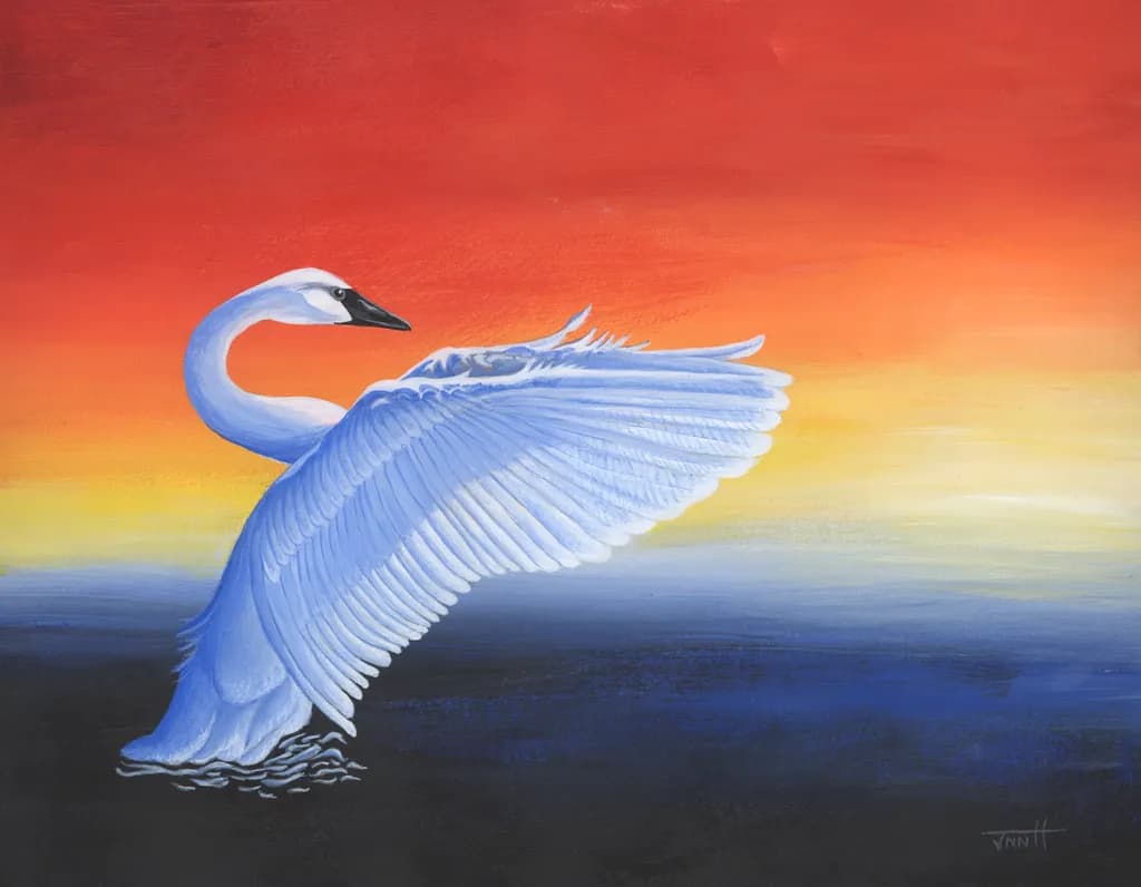 The Arrival Swan