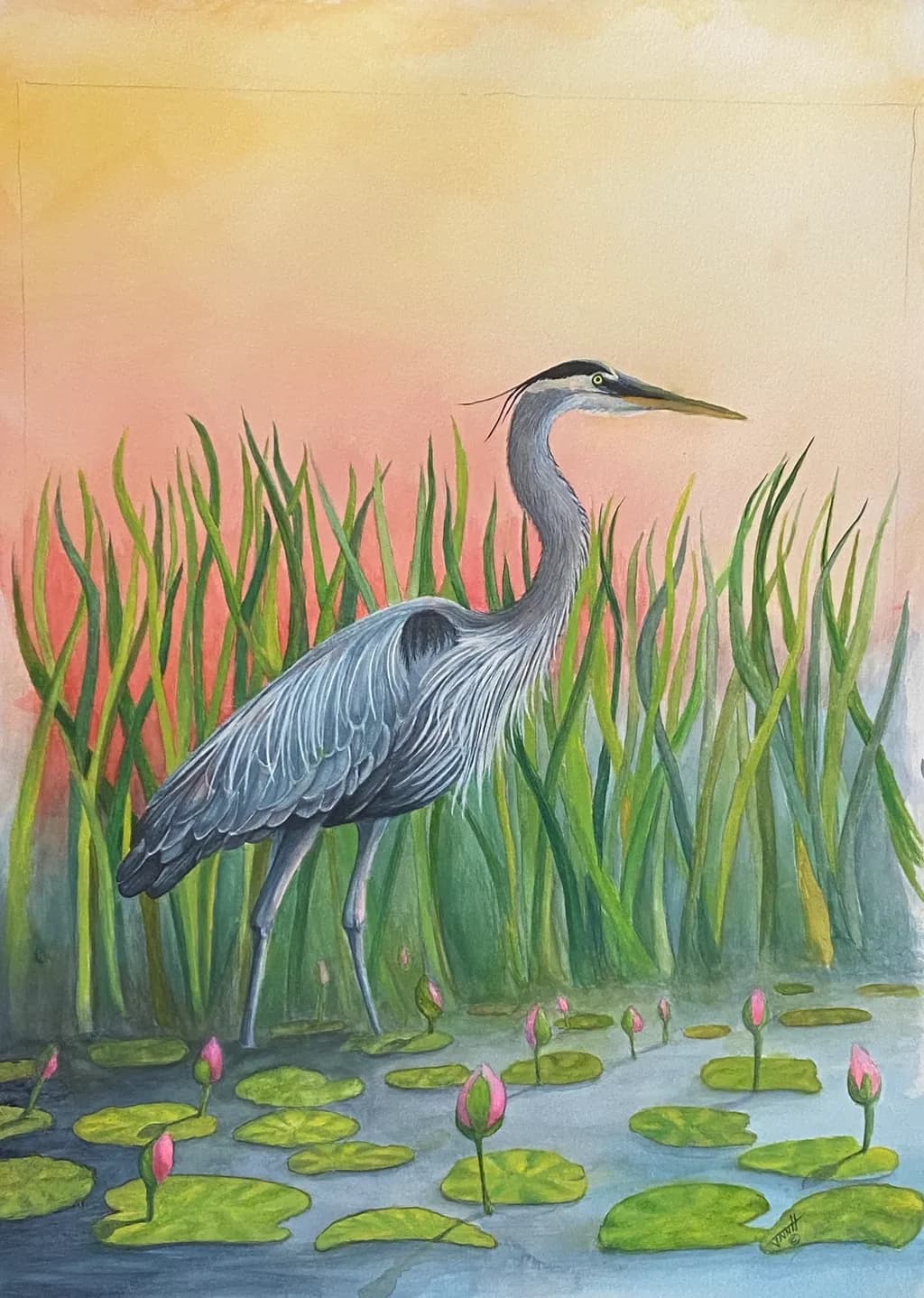 Great Blue Heron