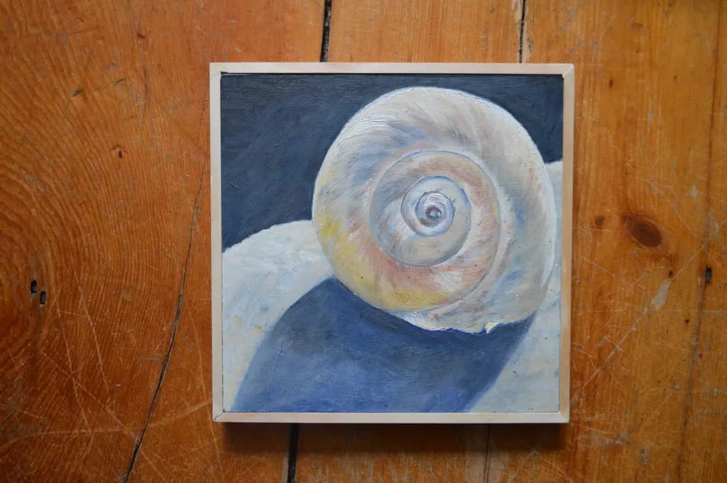 Spiral Shell Study