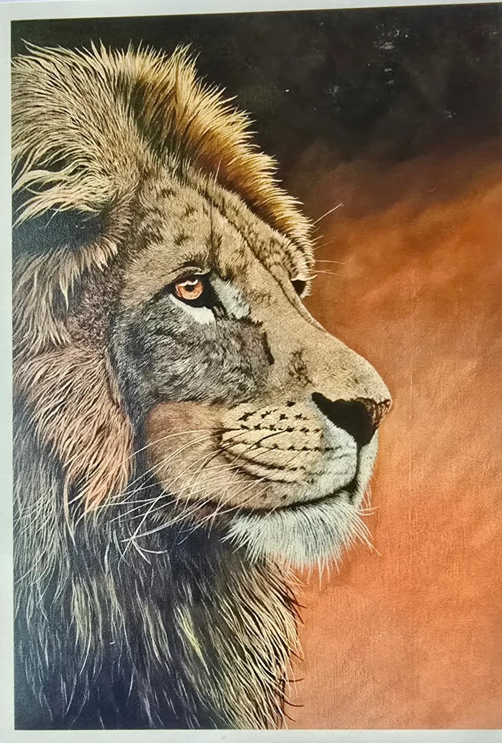 Majestic Lion Profile