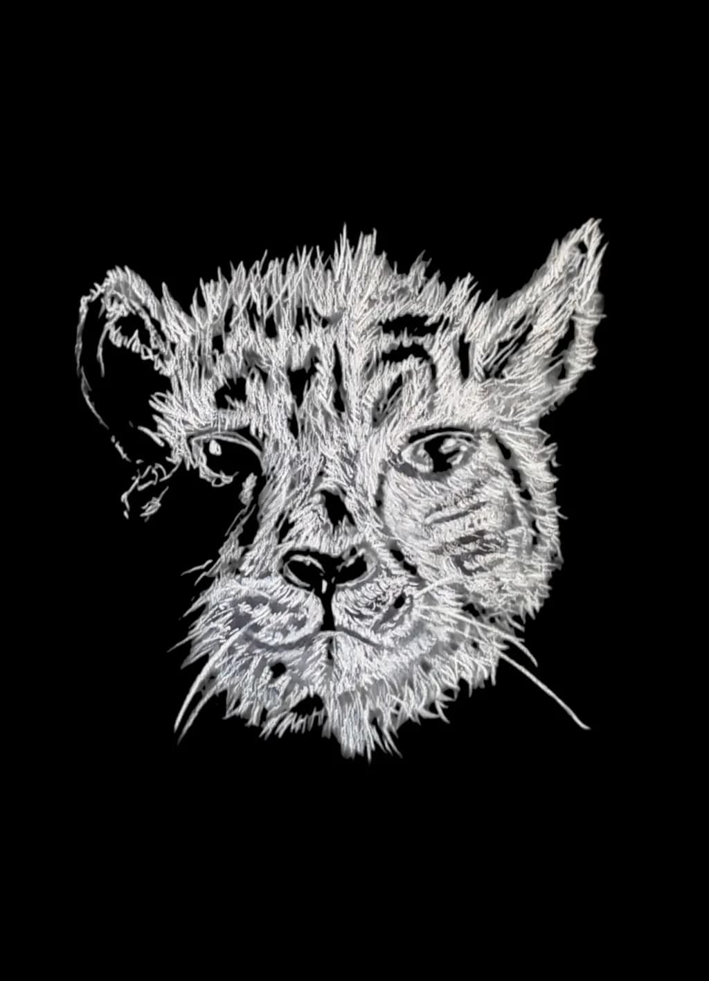 Cheetah