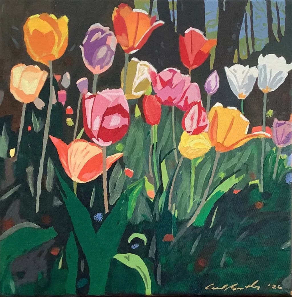 Tulip Ruckus