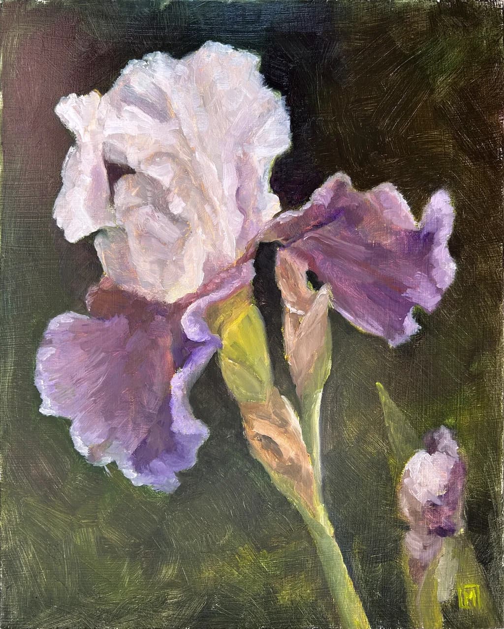 Iris