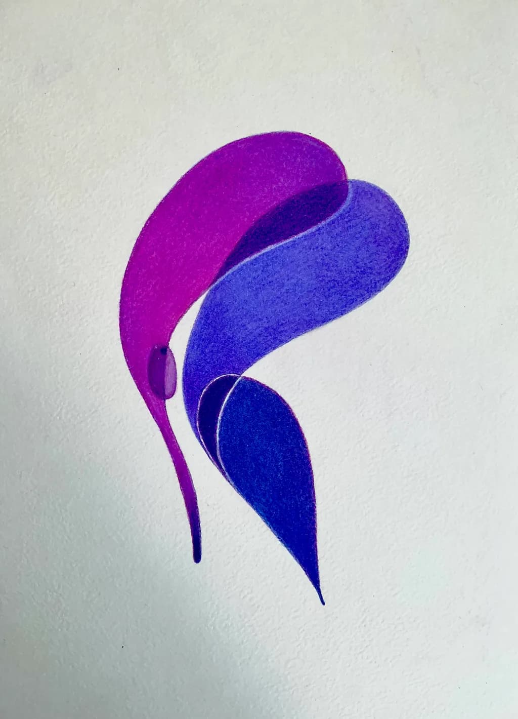 Colorful Curves