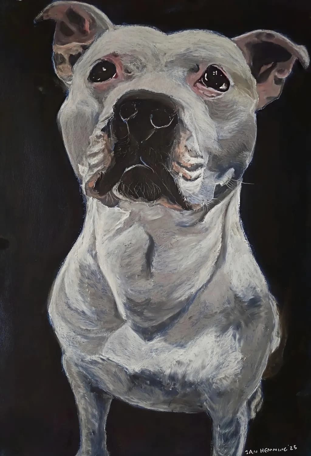 Soulful Canine Portrait