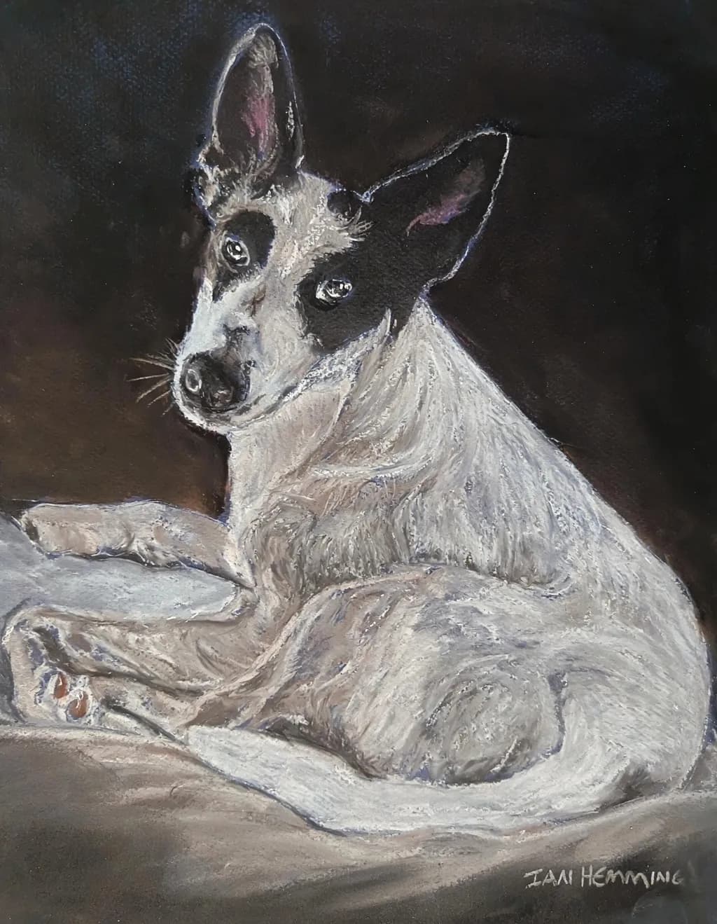 Black and White Canine Portrait
