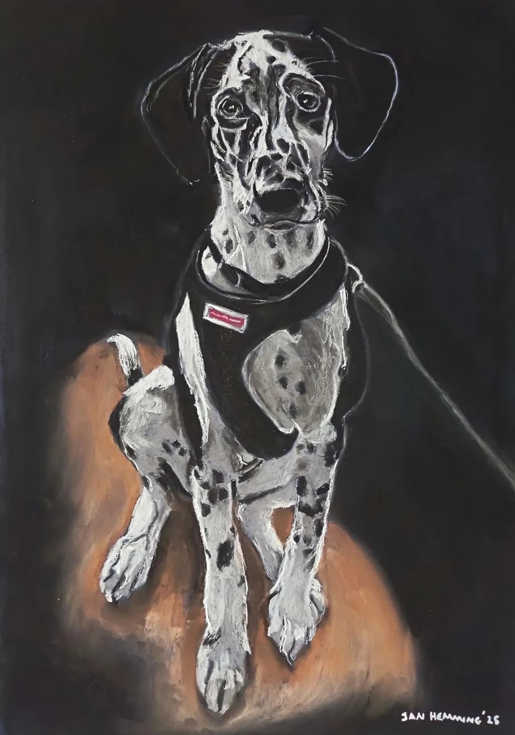 Dappled Companion