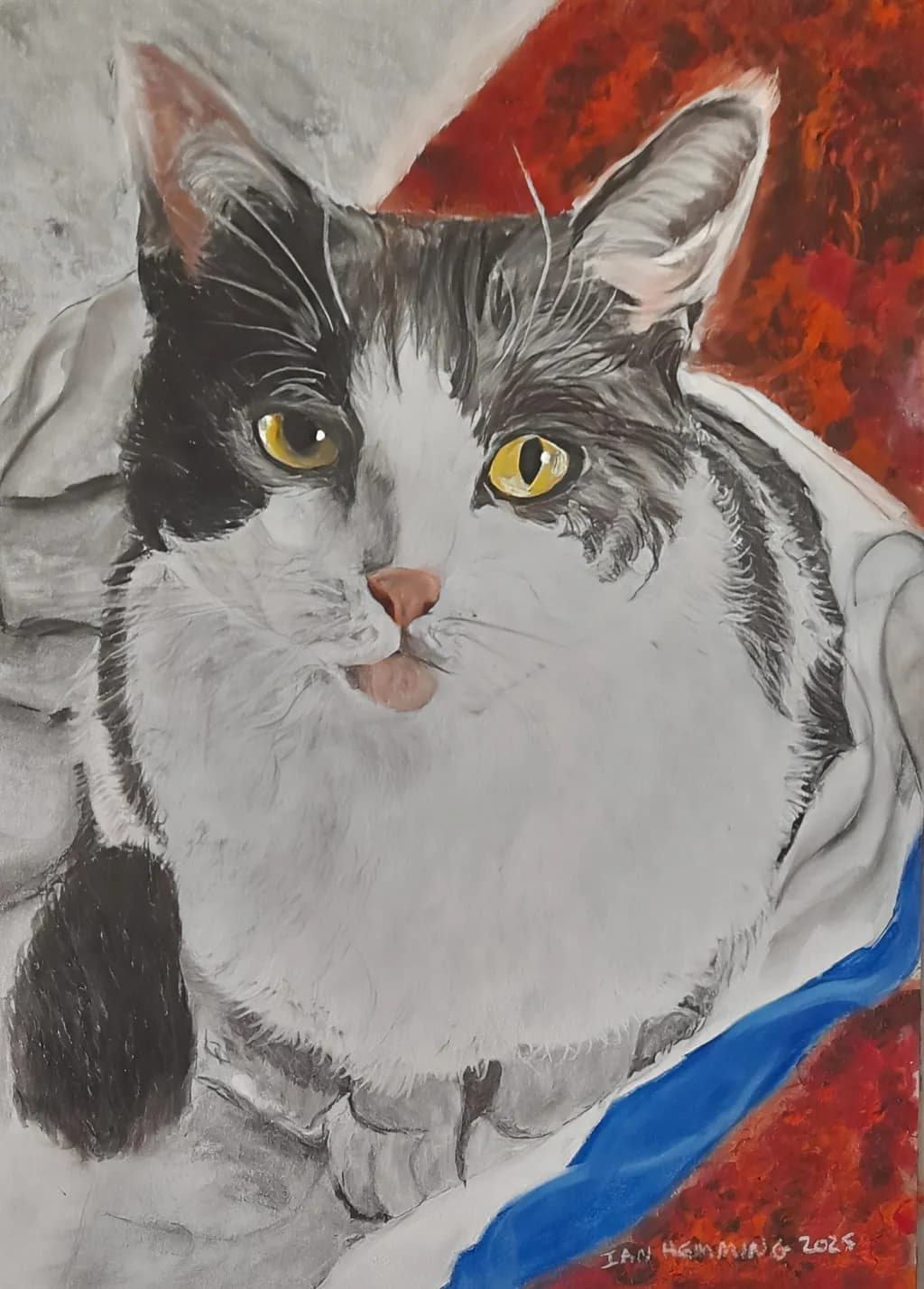 Colorful Cat Portrait