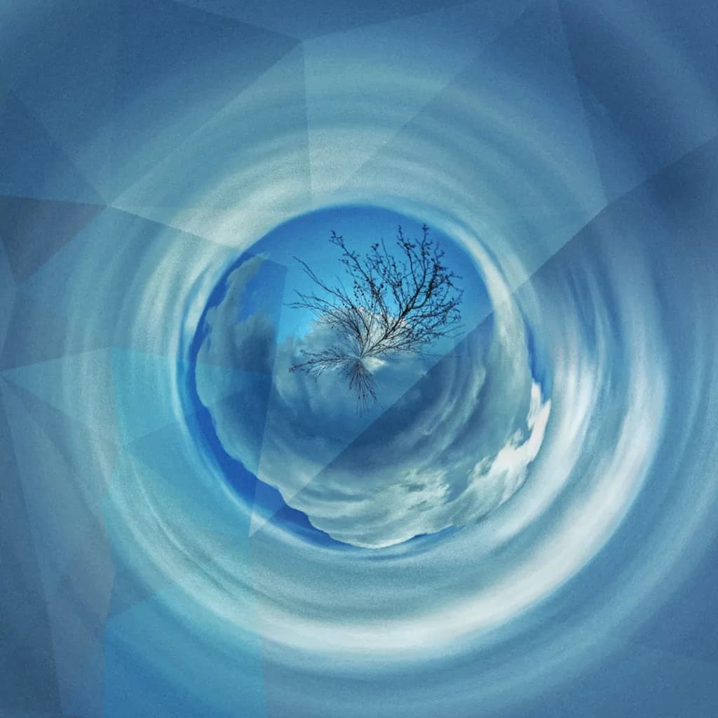 Tree in the Sky Circle