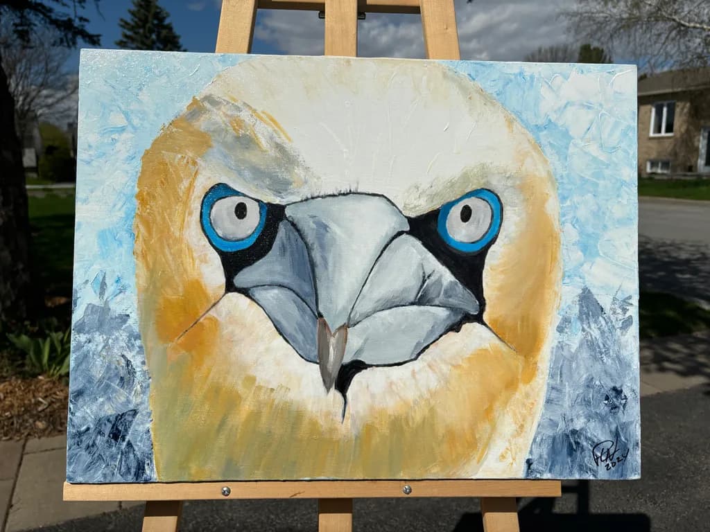 Bold Gaze