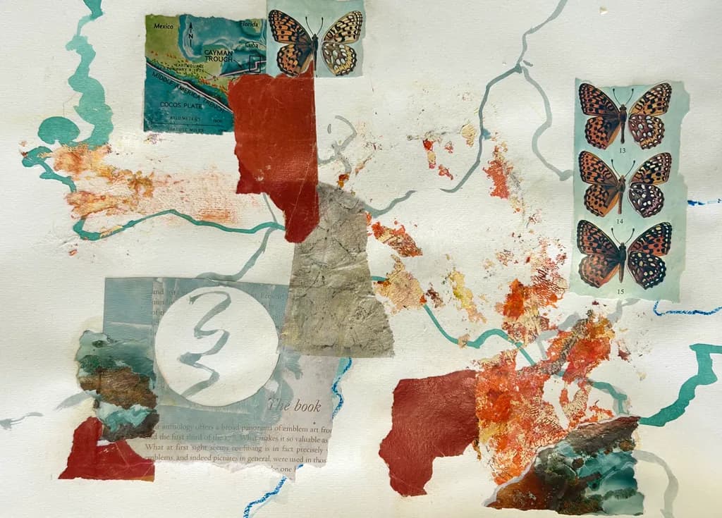 Map of Metamorphosis