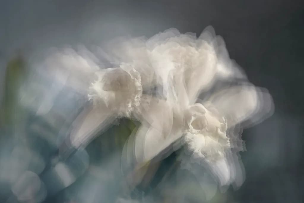 Flower Glow