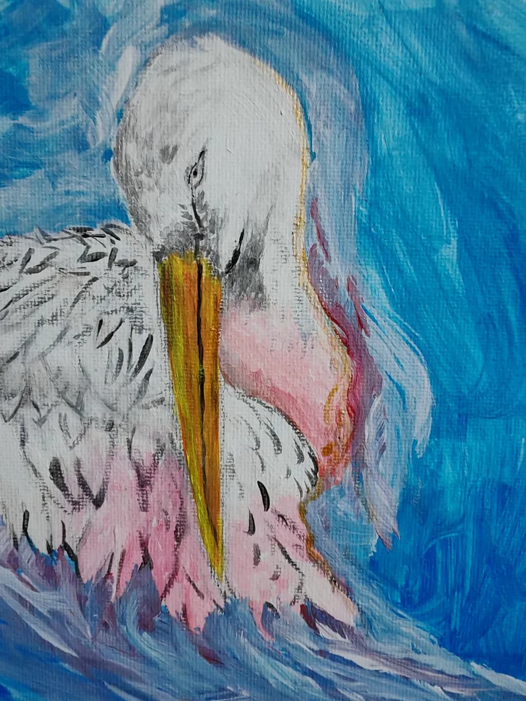 Pelican Serenity