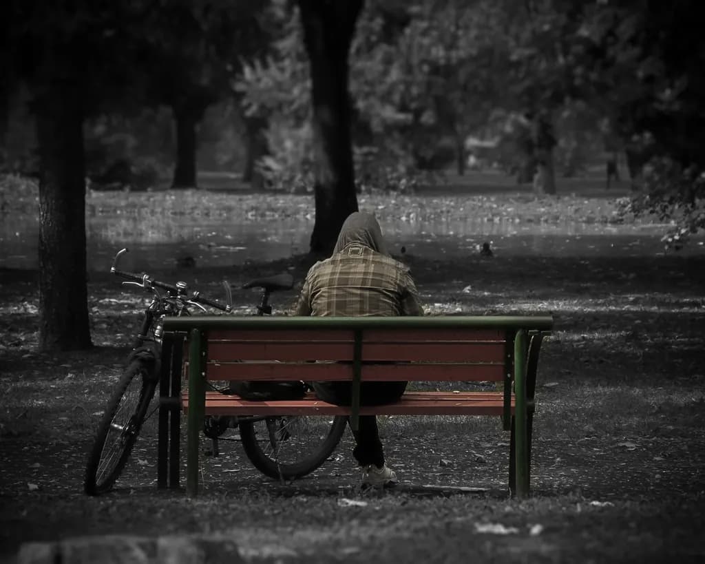 Solitude in the Park: A Reflection on Isolation and Nature's Embrace