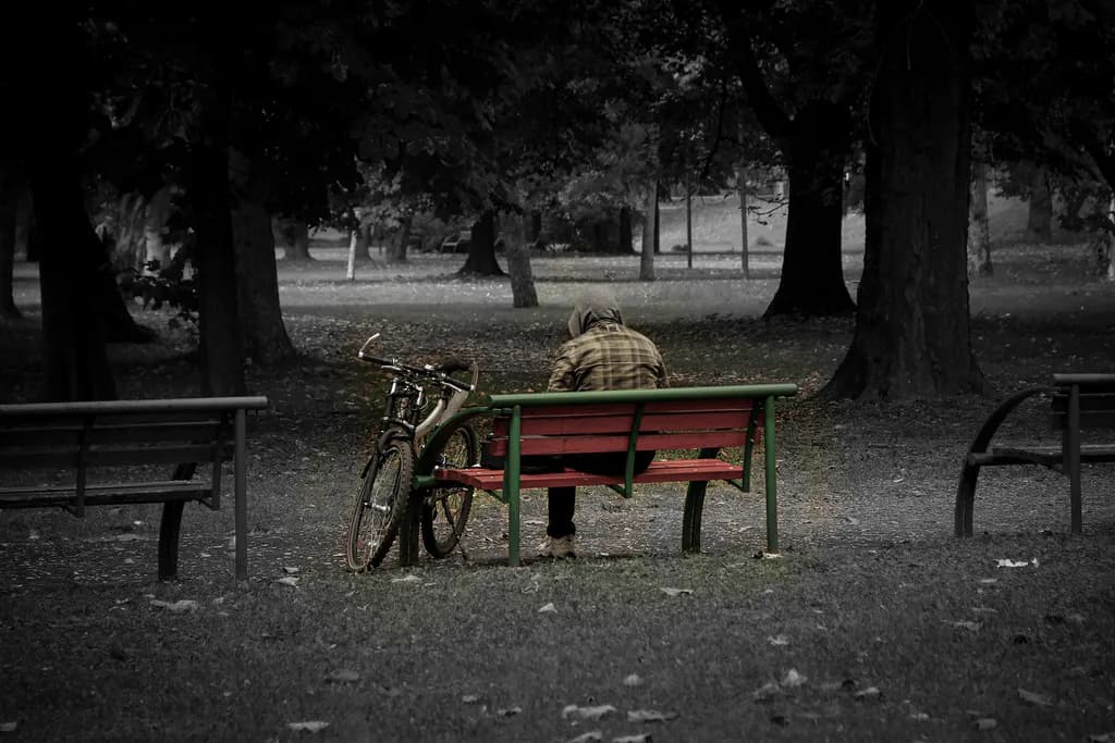 Solitude Bench