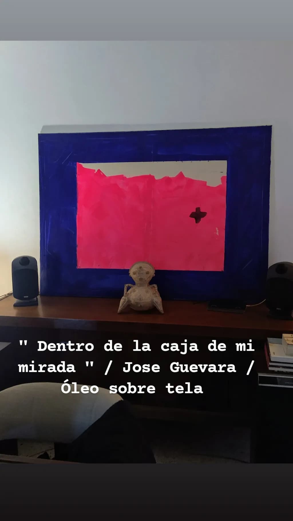 Dentro de la caja de mi mirada