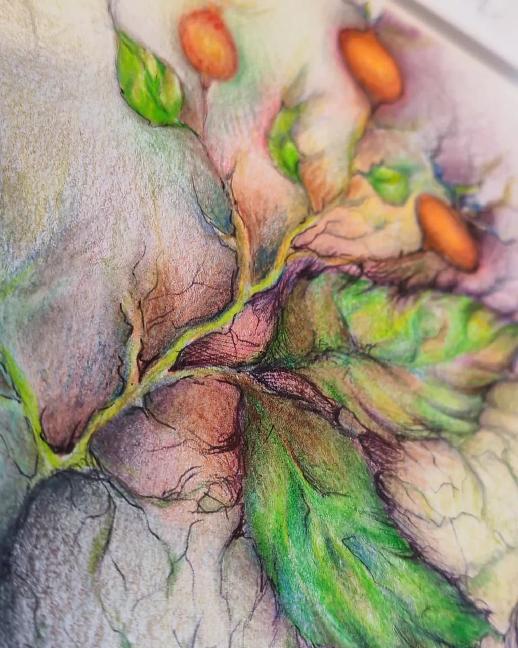 Botanical Berry Study