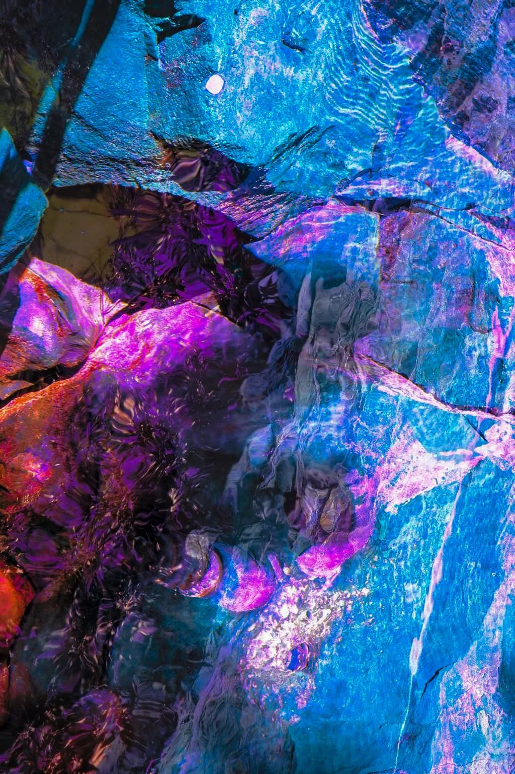 Reflections in Color