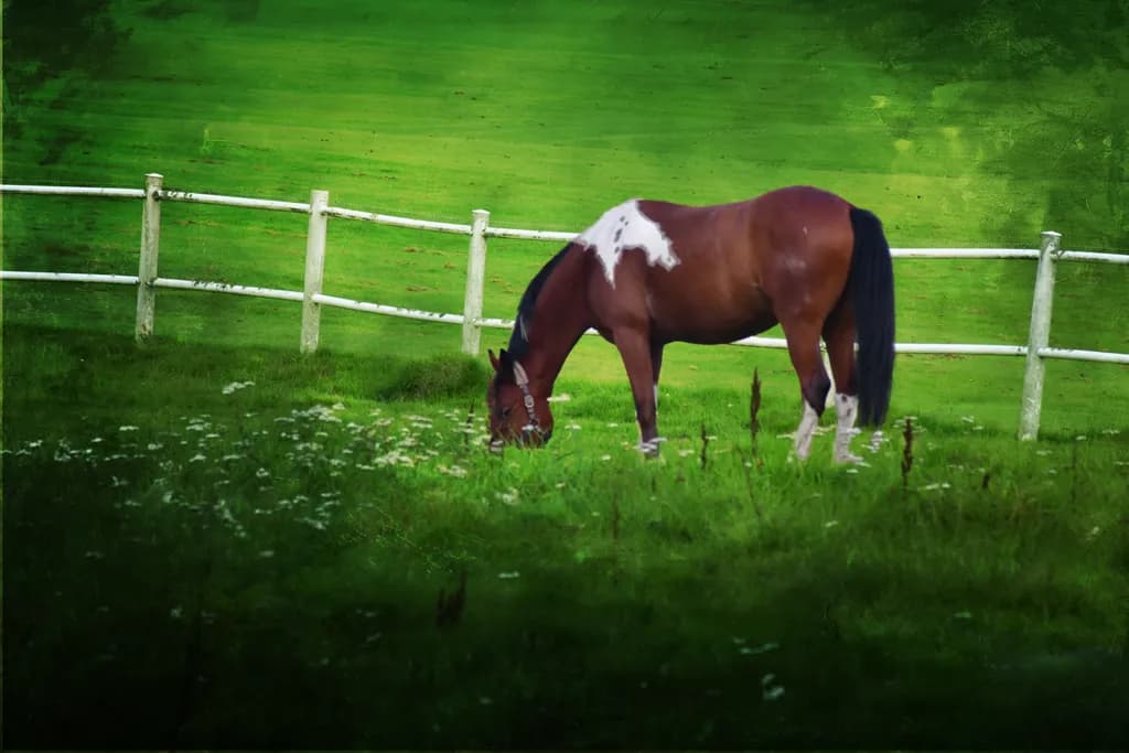 Grazing in Textures