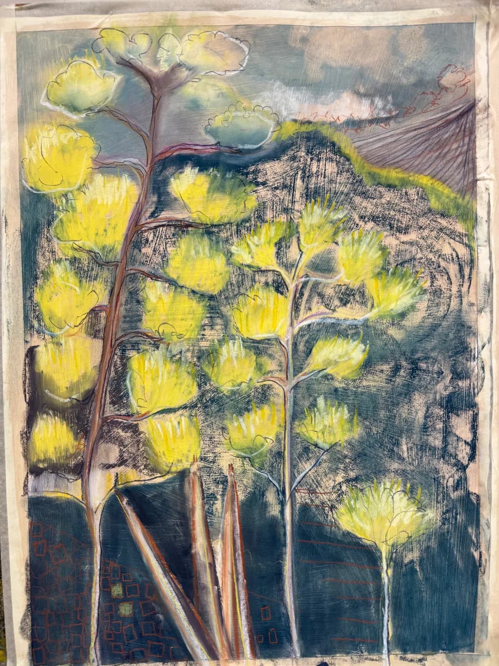 Yellow Bloom Trees