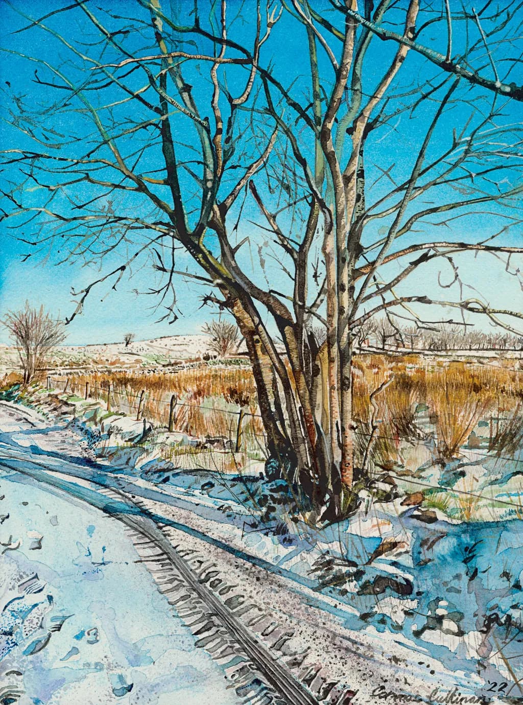 Whispers of Winter: A Serene Landscape of Bare Trees and Snowy Trails