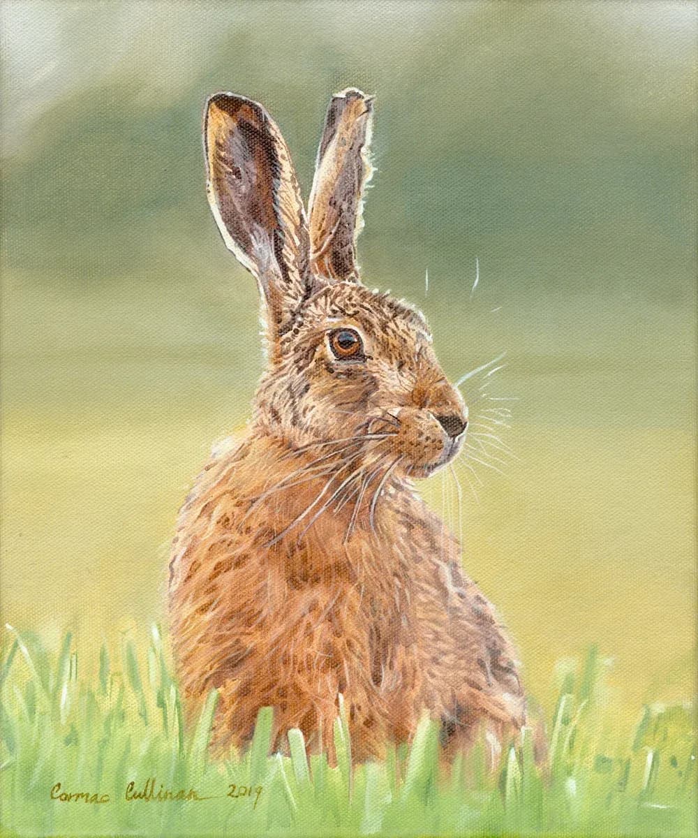 Whispers of the Meadow: A Realistic Portrait of a Hare in Nature's Embrace