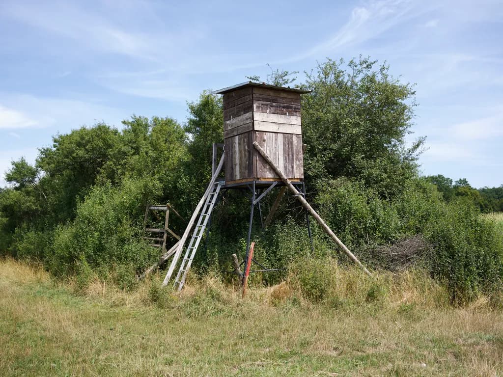 Hunting Tower in Field