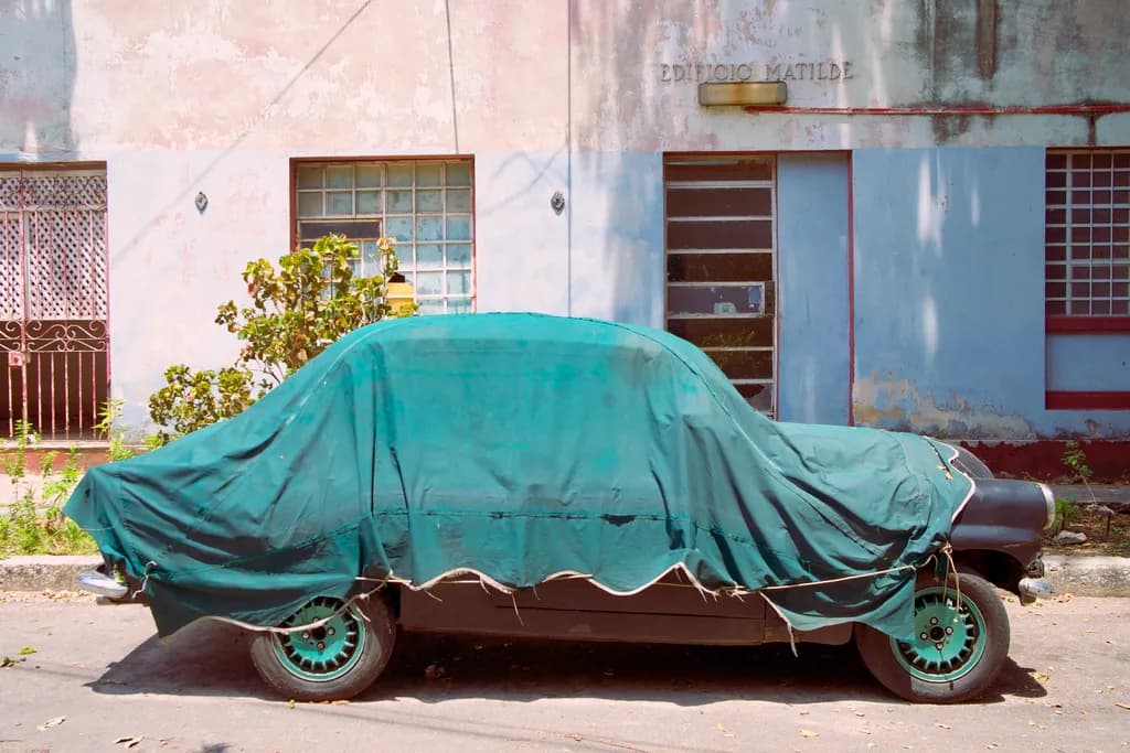 Urban Veil: The Abandoned Car Beneath a Green Cover in a Forgotten Landscape