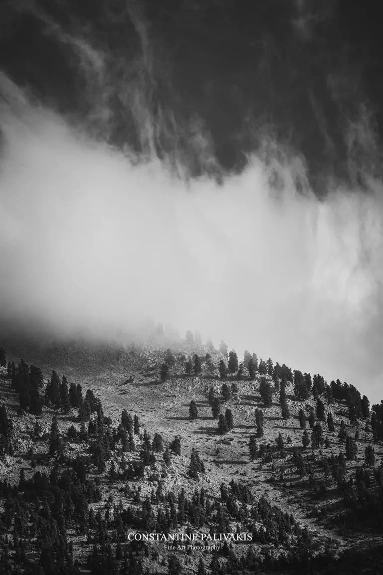 Mountain Shadows