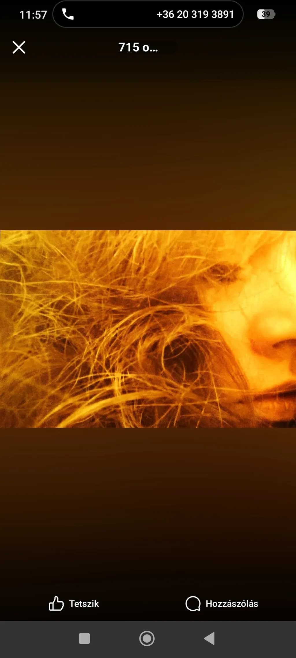 Golden Tresses