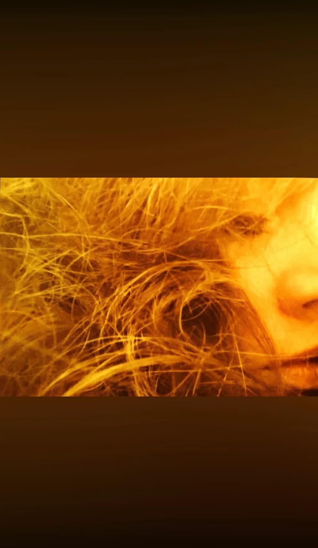 Tangled Ember