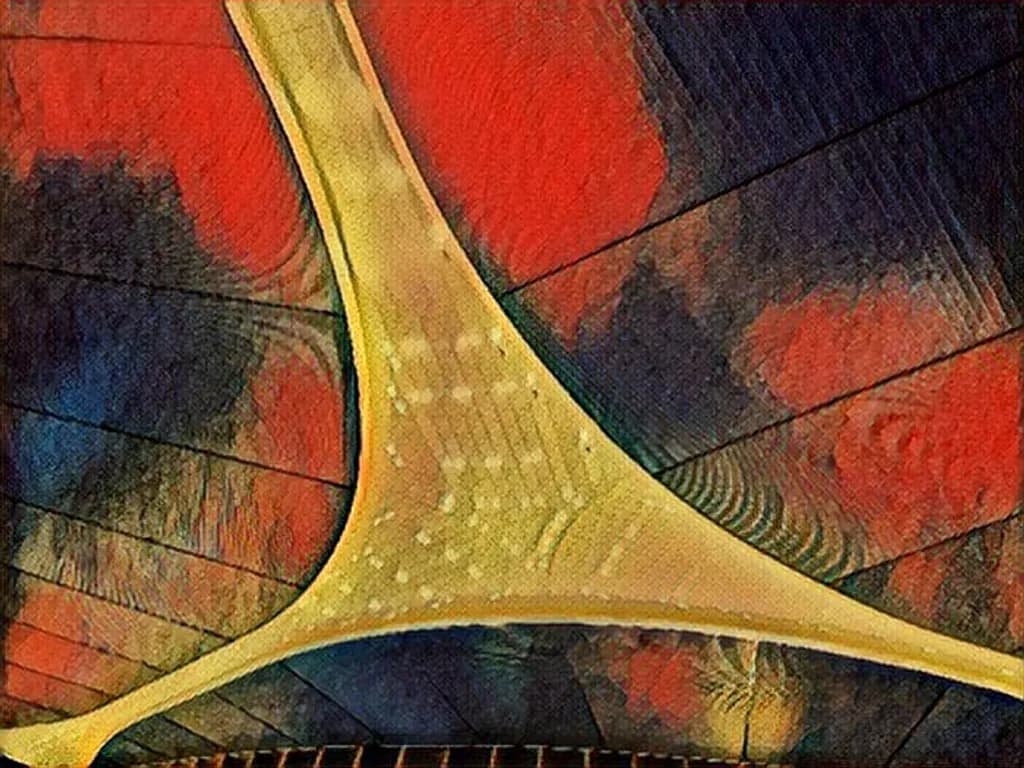 Golden Sound Geometry