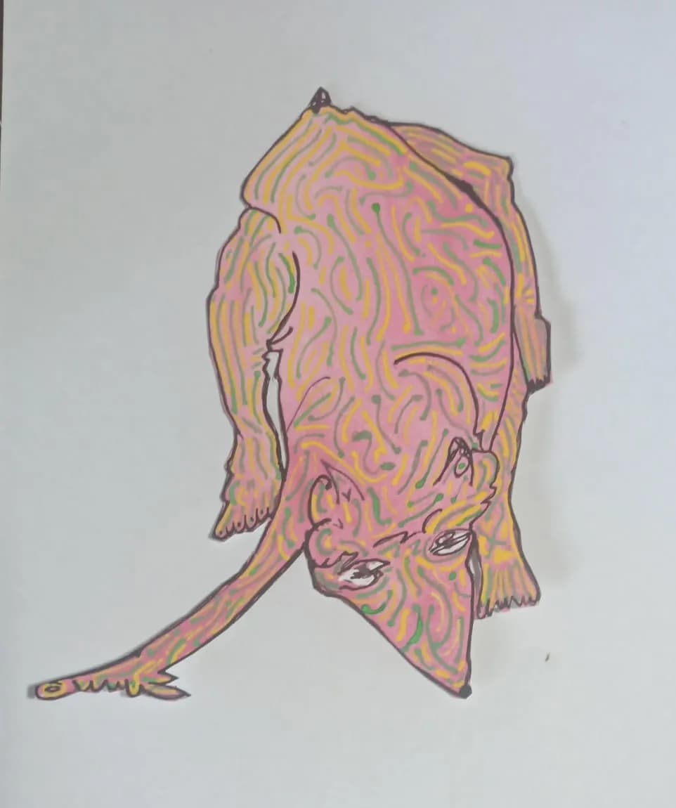 Colorful Creature
