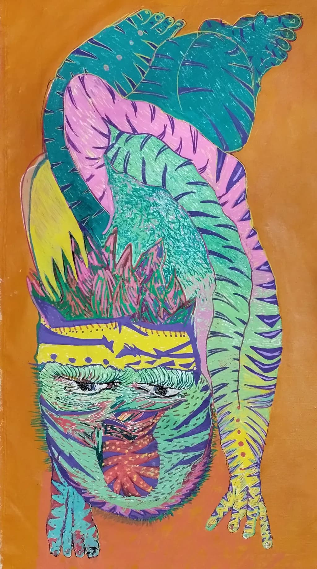 Colorful Contortion